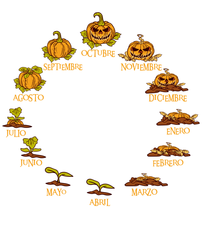 Camisetas: Ciclo de Vida de una Calabaza Halloween